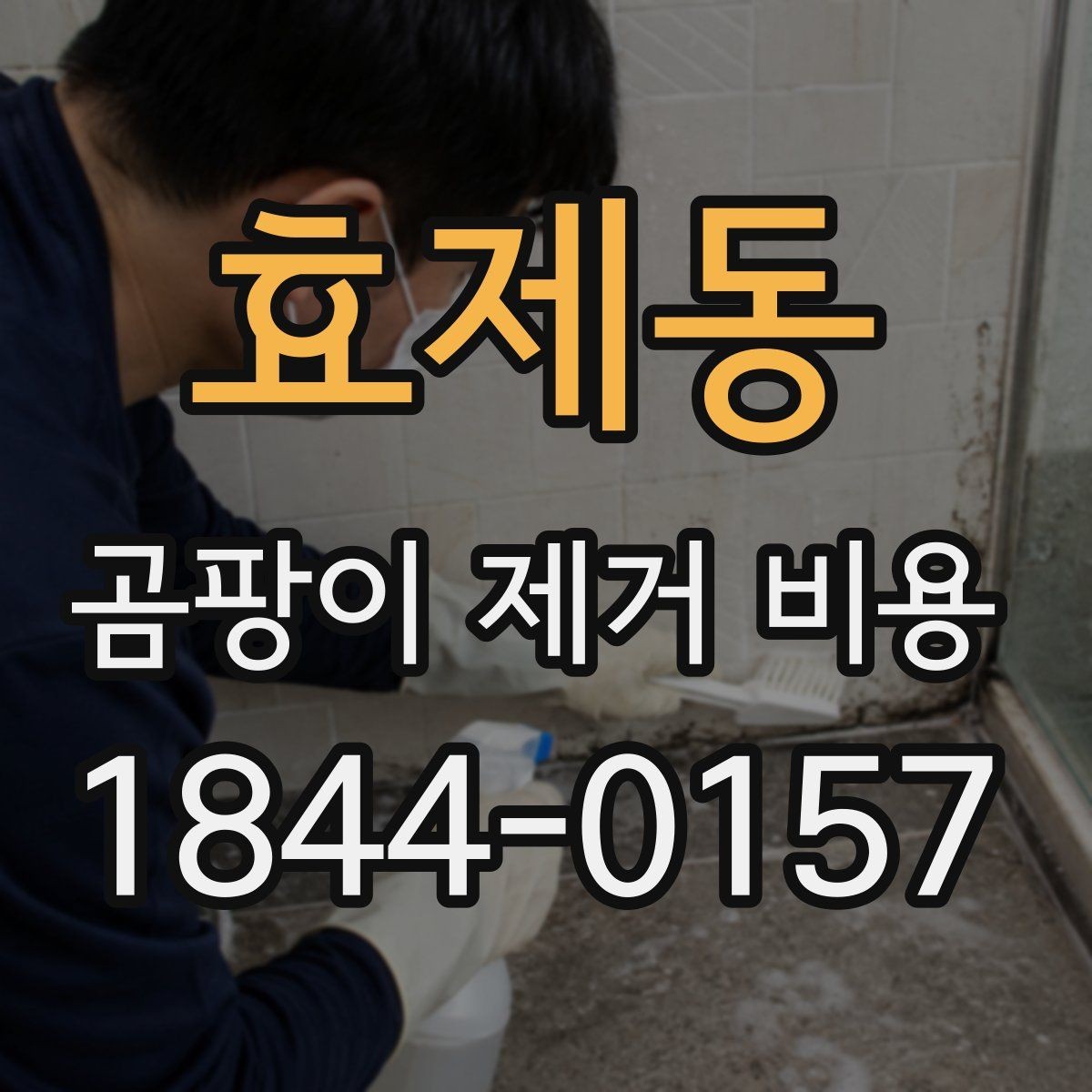 효제동 곰팡이 제거 비용 방수 공정 포함 여부로 보는 견적 차이