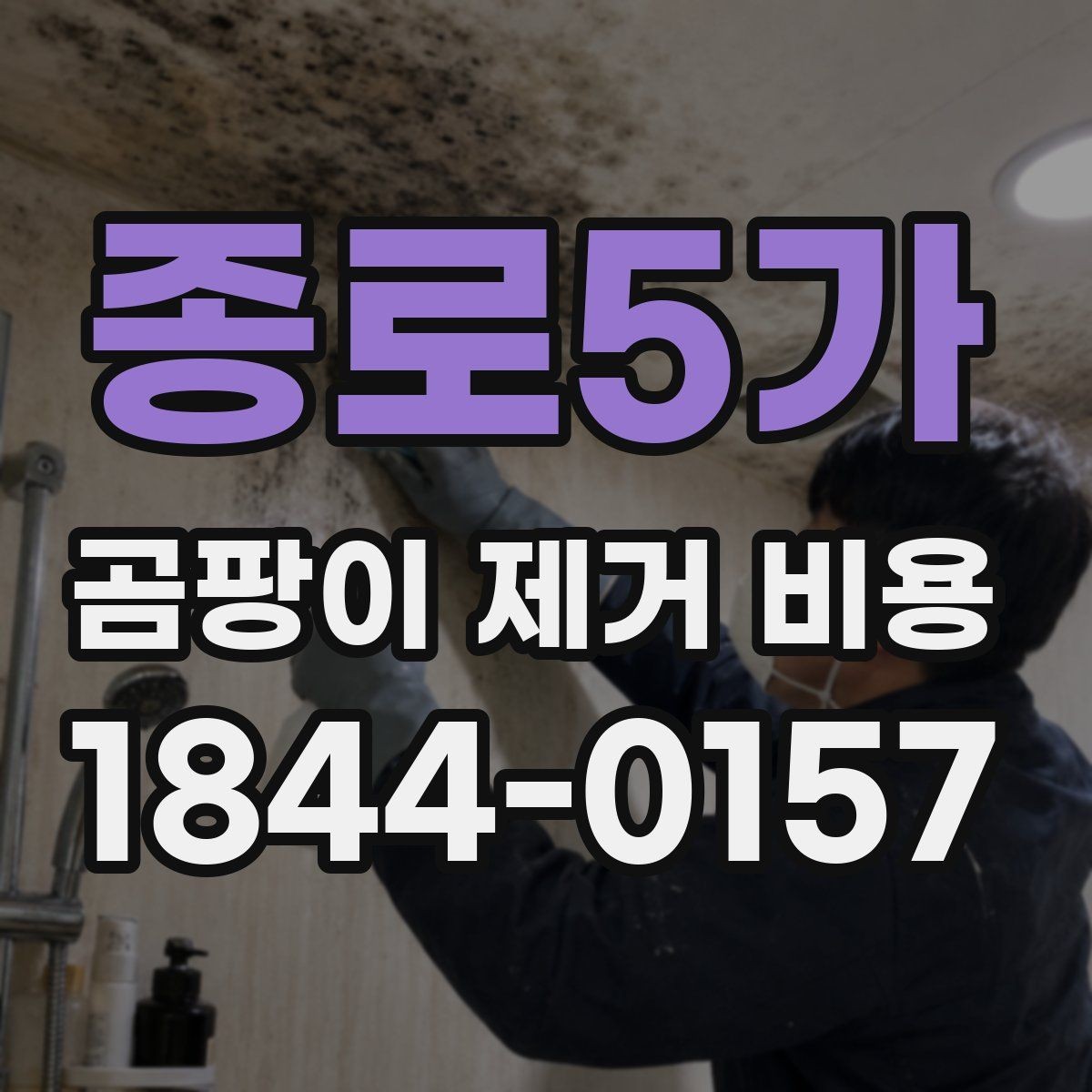 종로5가 곰팡이 제거 비용 재발 가능성까지 점검하는 방법