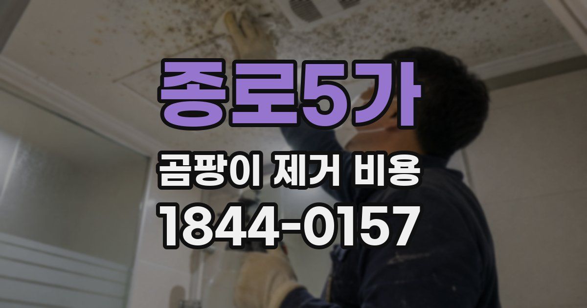 종로5가 곰팡이 제거 비용