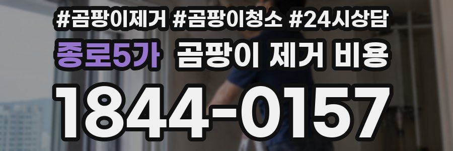 종로5가 곰팡이 제거 비용