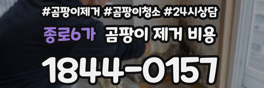 종로6가 곰팡이 제거 비용