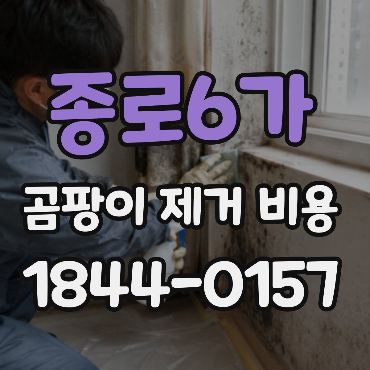 종로6가 곰팡이 제거 비용