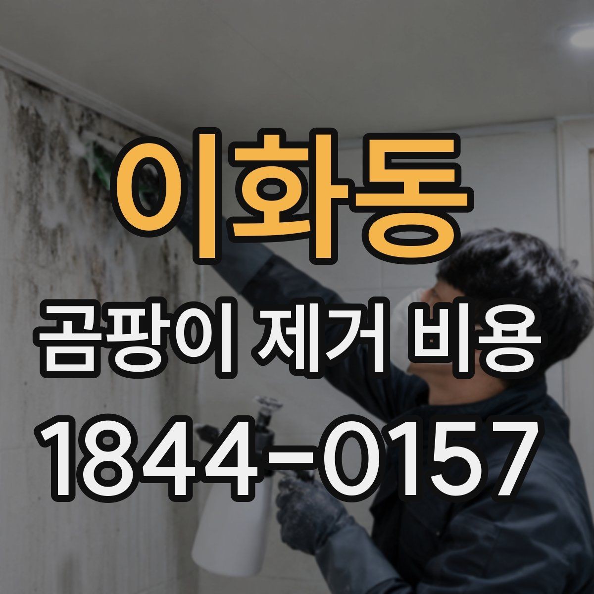 이화동 곰팡이 제거 비용 상가 공사와 주거공간 공정이 다른 까닭