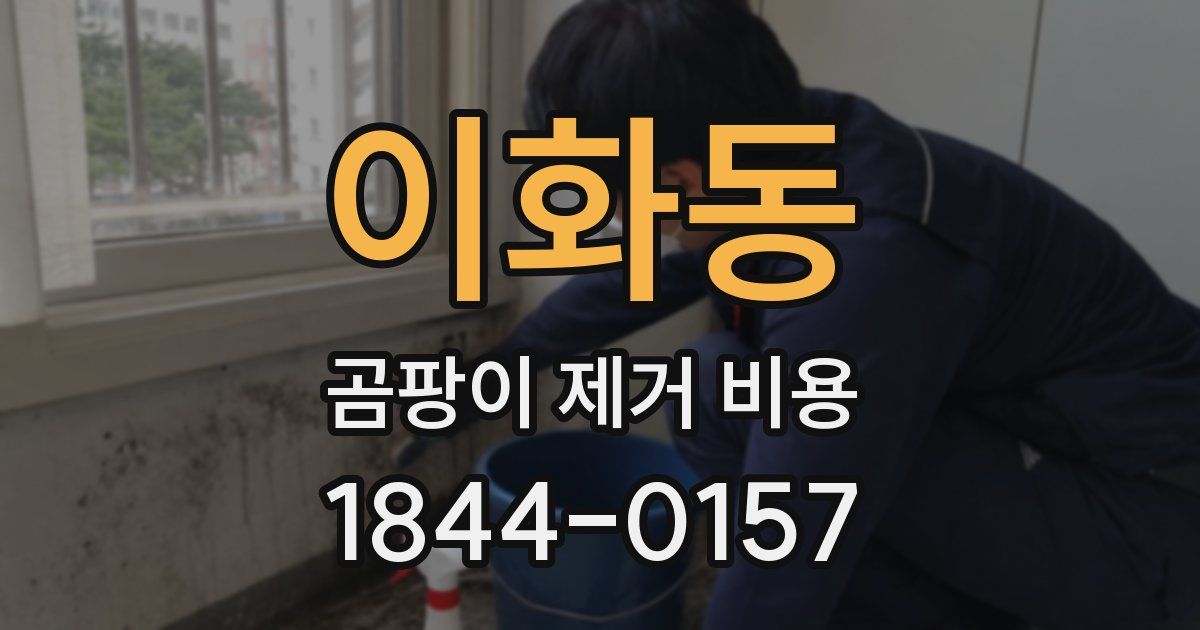 이화동 곰팡이 제거 비용