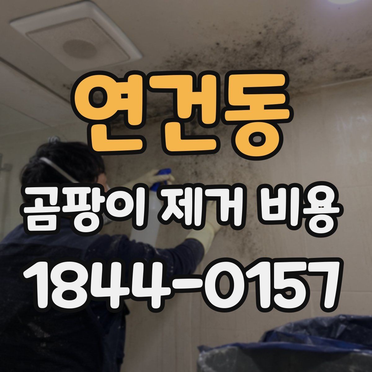 연건동 곰팡이 제거 비용 욕실 벽면과 천장 작업비 차이 살펴보기