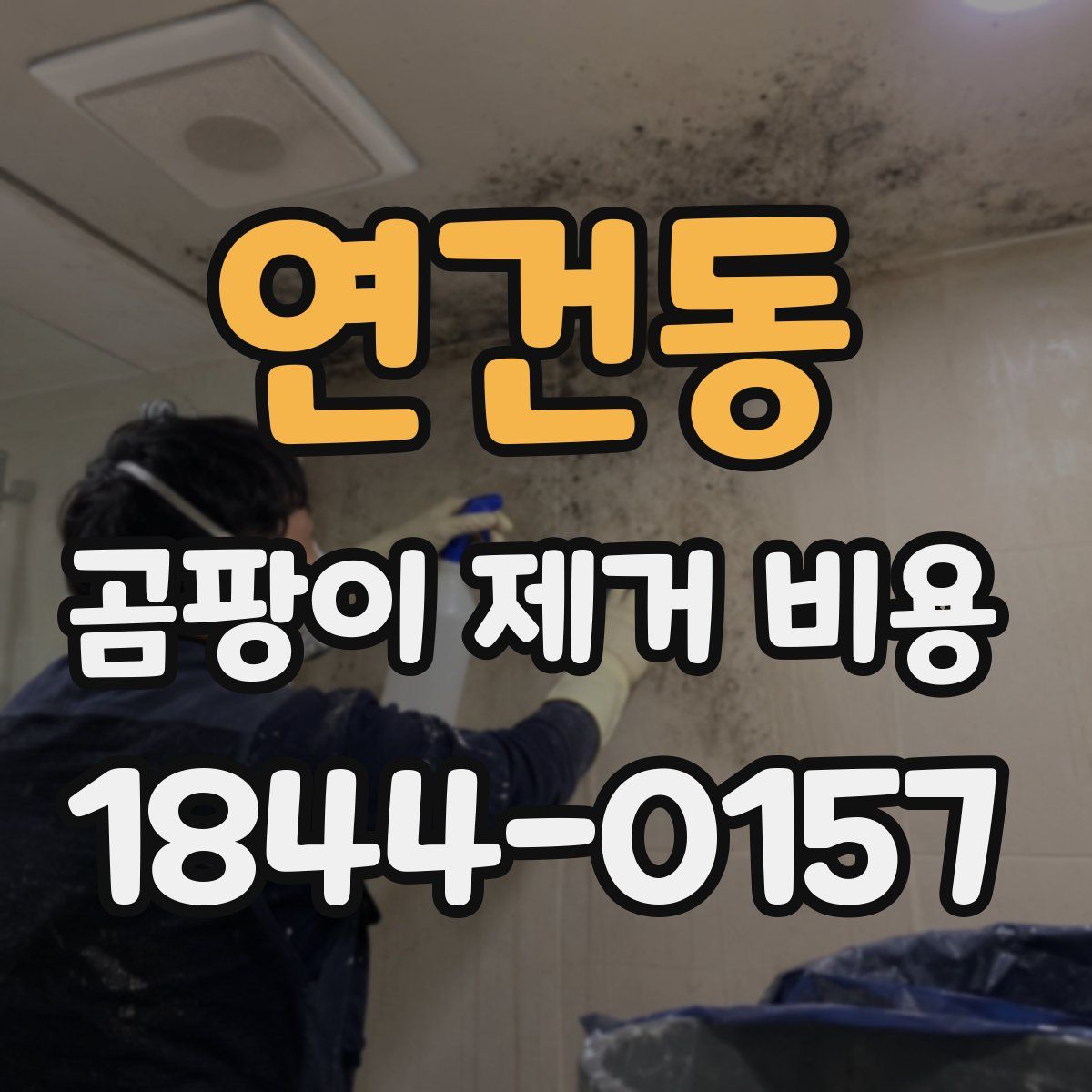 연건동 곰팡이 제거 비용