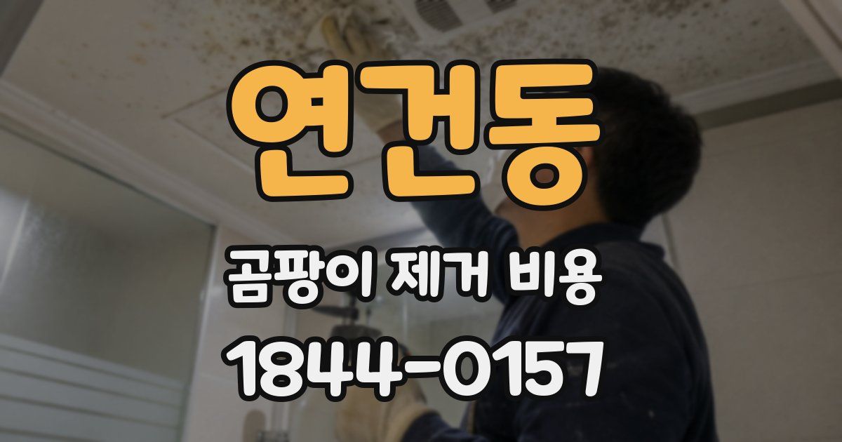 연건동 곰팡이 제거 비용
