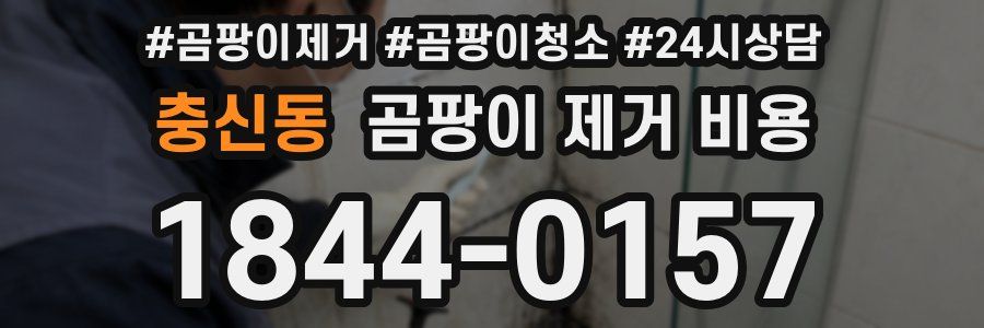 충신동 곰팡이 제거 비용