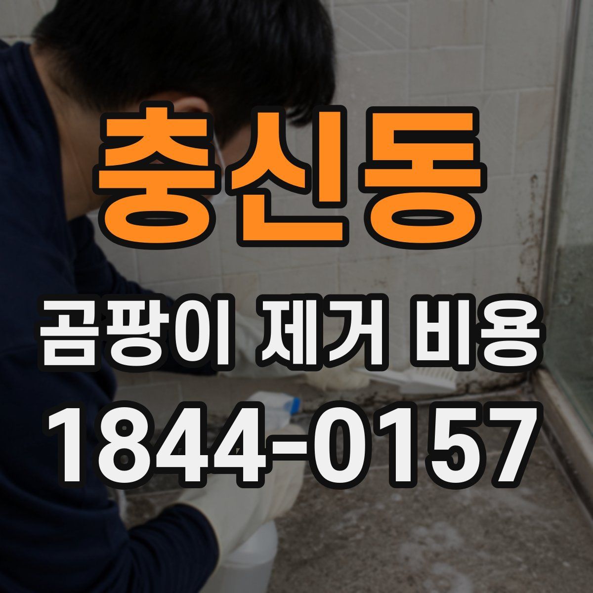 충신동 곰팡이 제거 비용