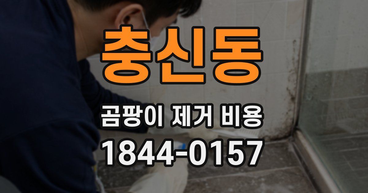 충신동 곰팡이 제거 비용