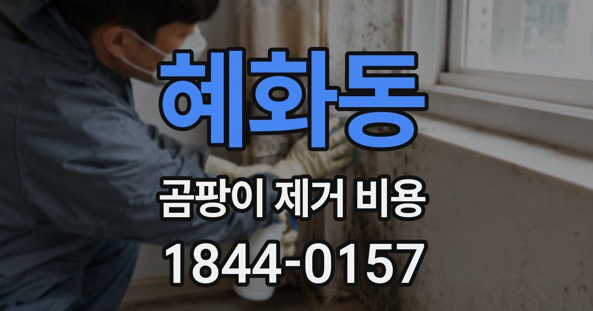 혜화동 곰팡이 제거 비용