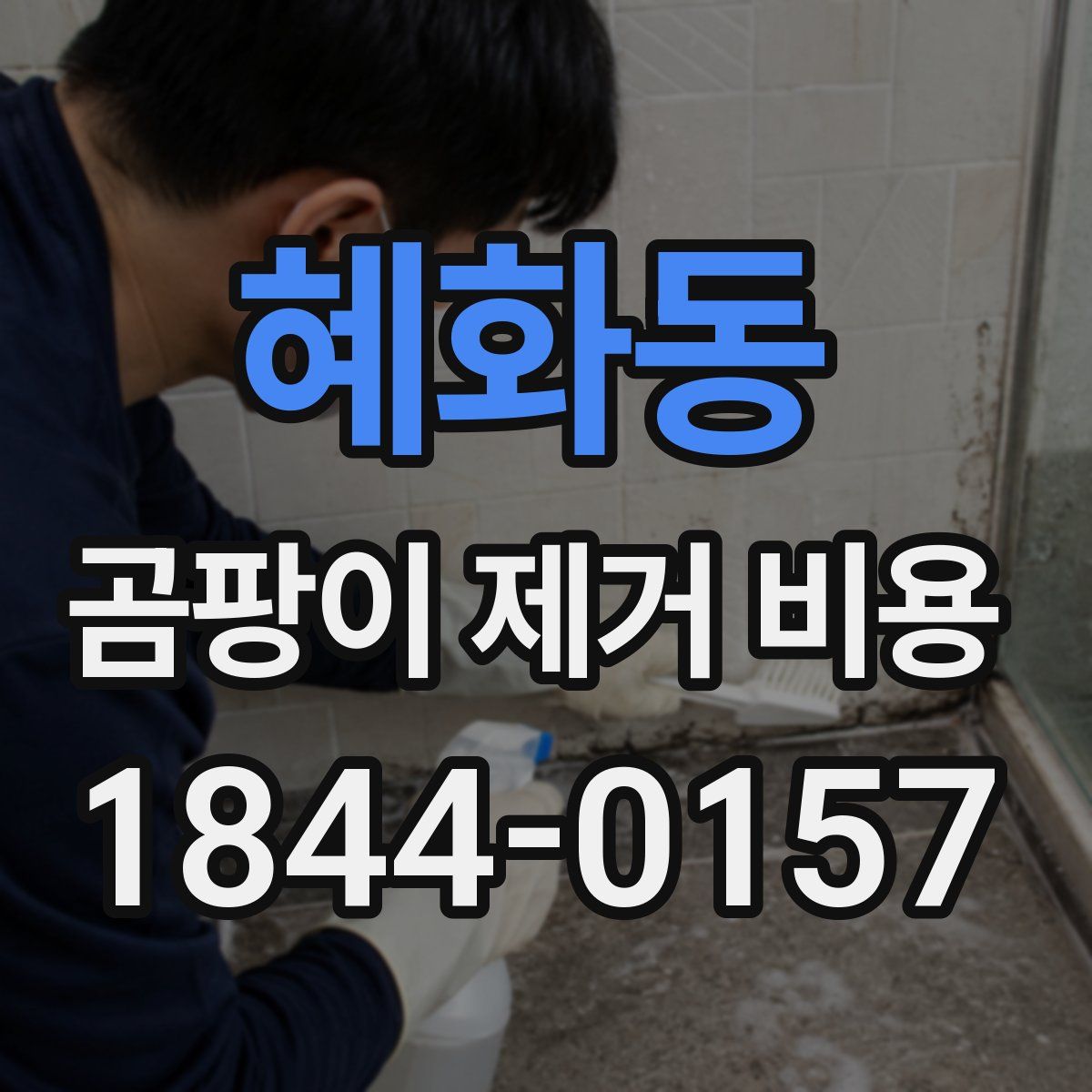 혜화동 곰팡이 제거 비용
