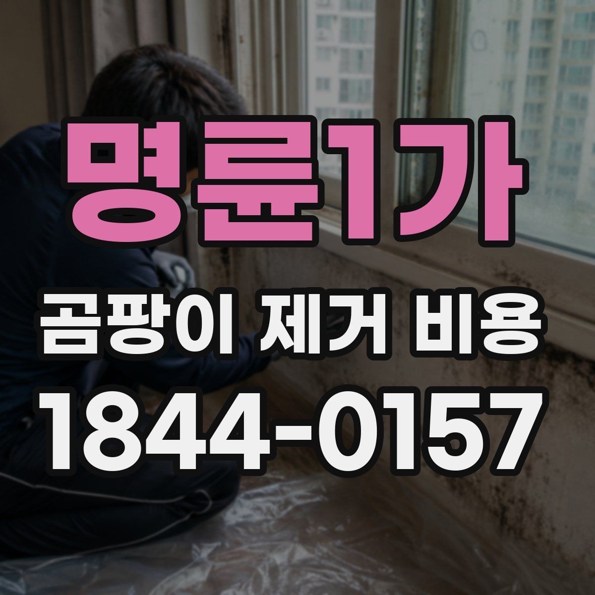 명륜1가 곰팡이 제거 비용 누수 보수 범위에 따라 달라지는 이유
