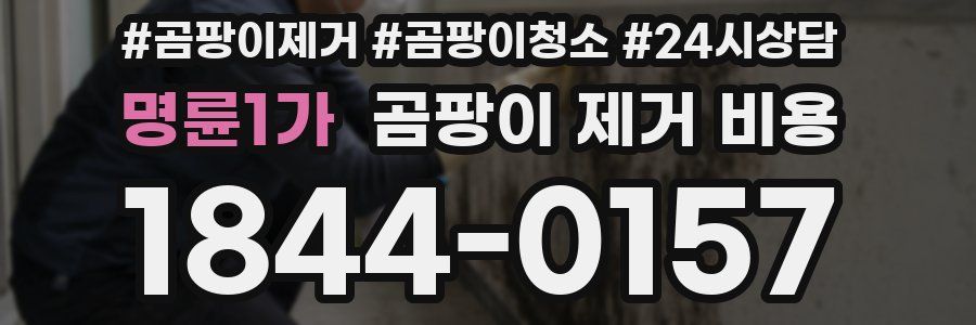 명륜1가 곰팡이 제거 비용