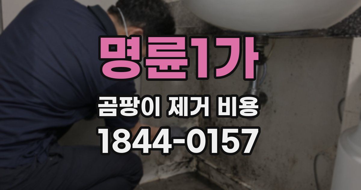 명륜1가 곰팡이 제거 비용