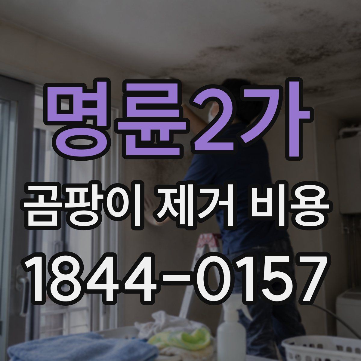 명륜2가 곰팡이 제거 비용 시공 인원 구성에 따라 견적이 바뀌는 이유