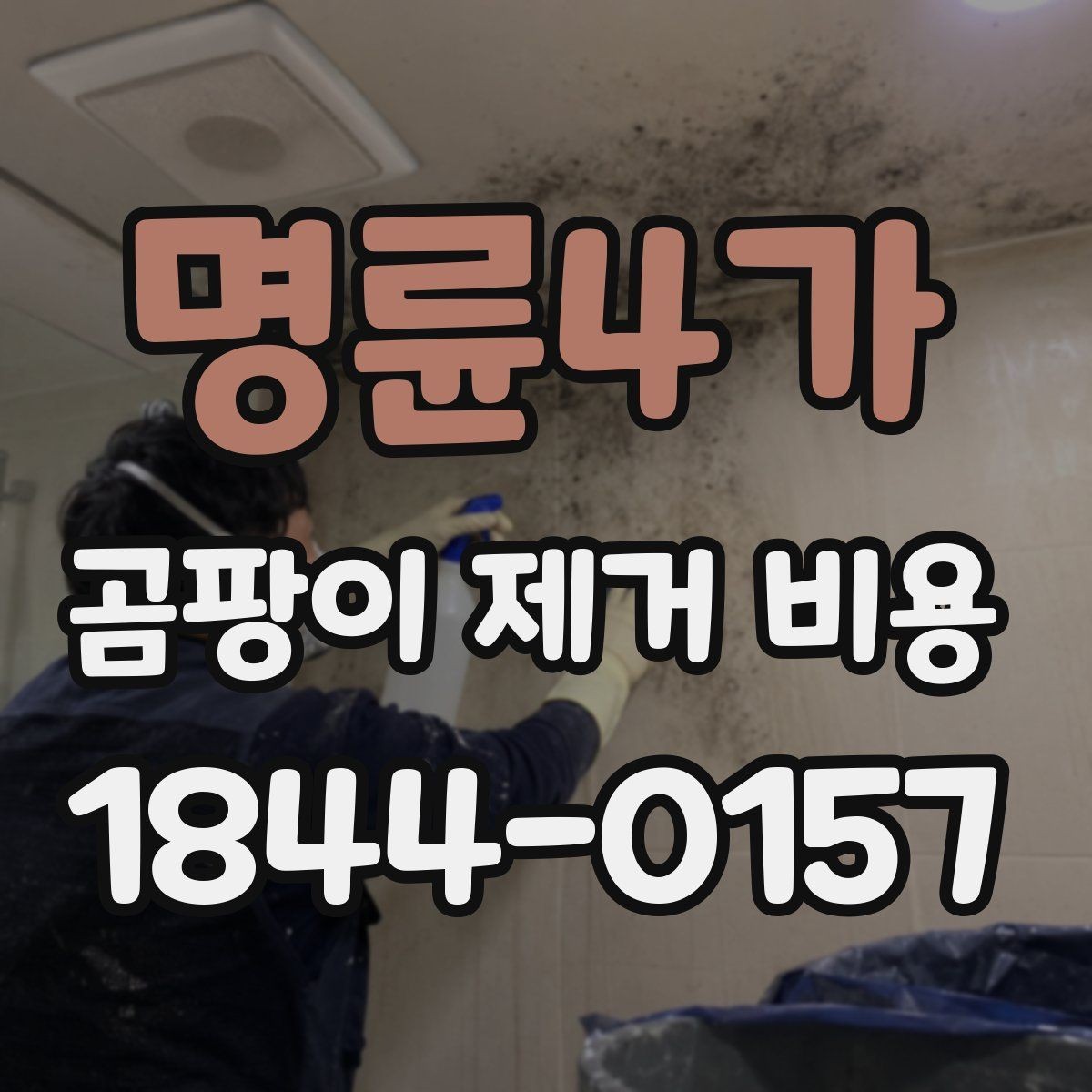 명륜4가 곰팡이 제거 비용 건조 기간이 길어지는 상황 정리