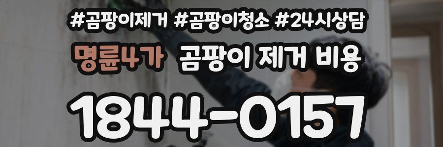 명륜4가 곰팡이 제거 비용