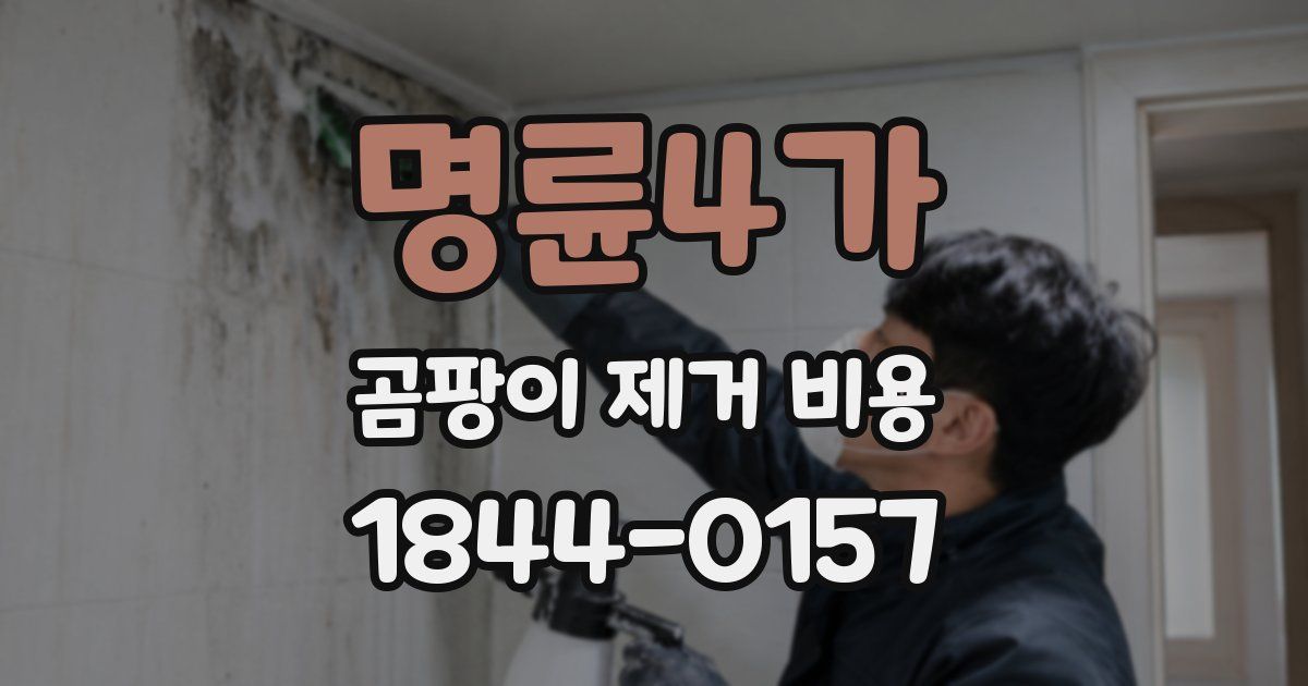 명륜4가 곰팡이 제거 비용