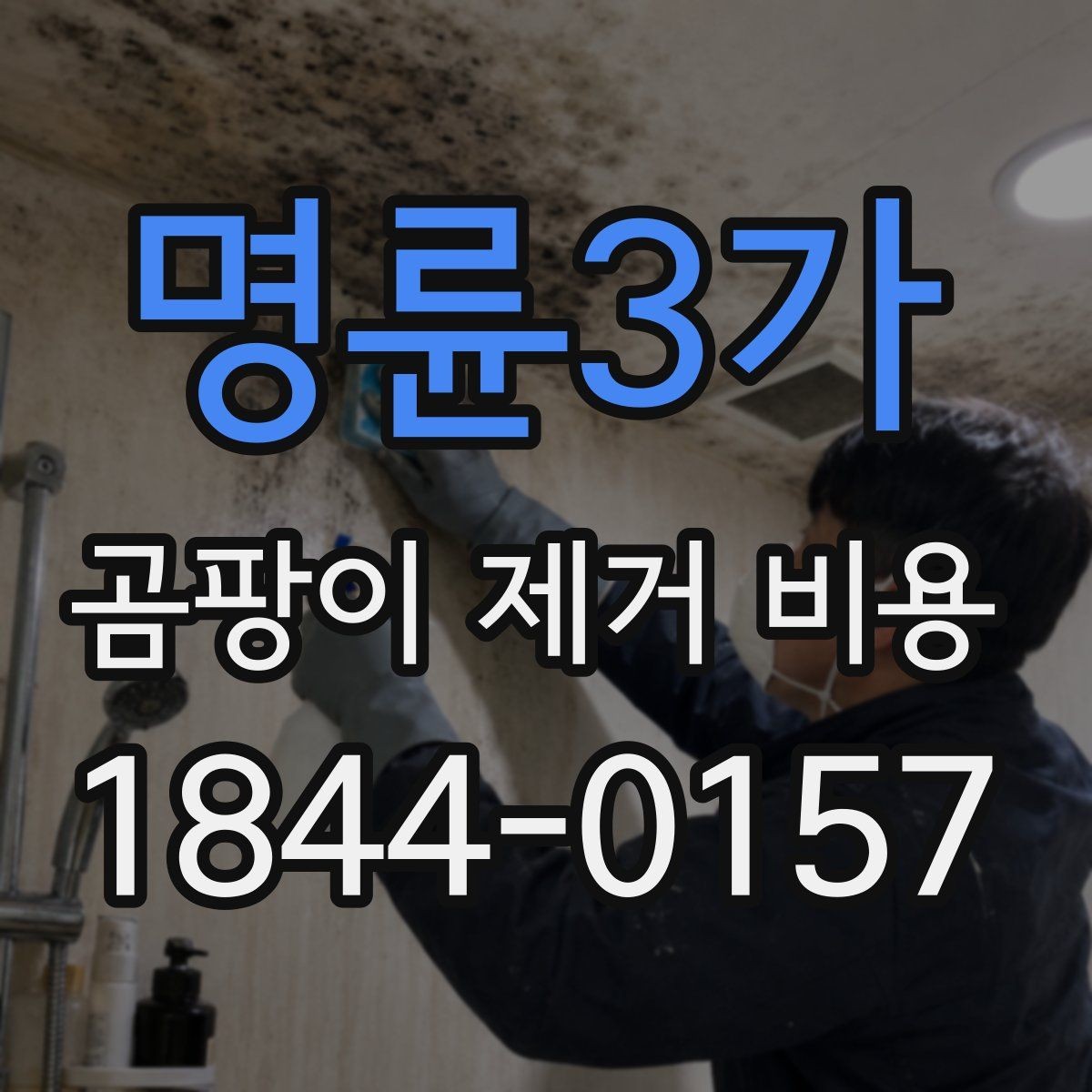 명륜3가 곰팡이 제거 비용 부분 시공과 전체 시공 차이