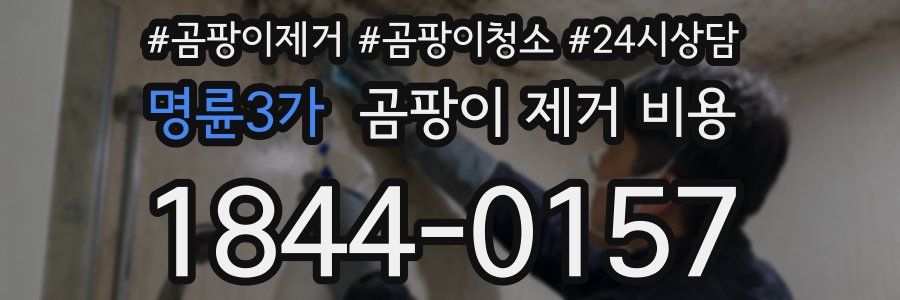 명륜3가 곰팡이 제거 비용