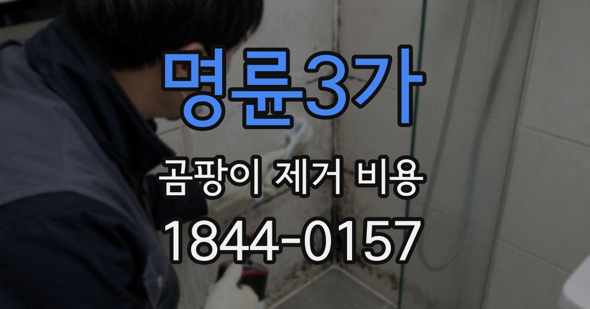 명륜3가 곰팡이 제거 비용