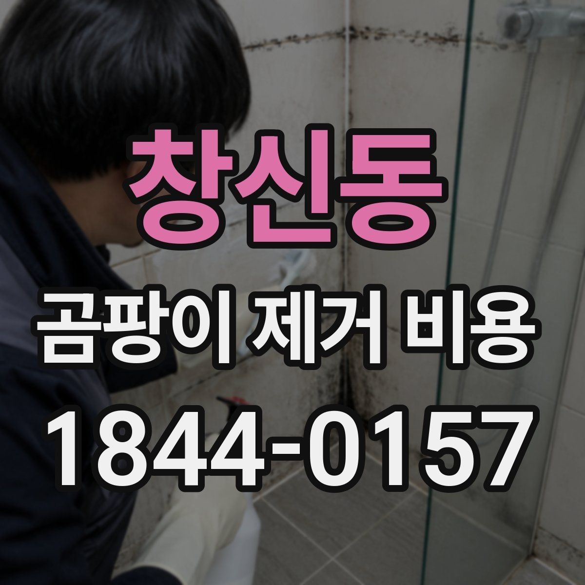 창신동 곰팡이 제거 비용 업체 상담 전 사진으로 확인할 부분