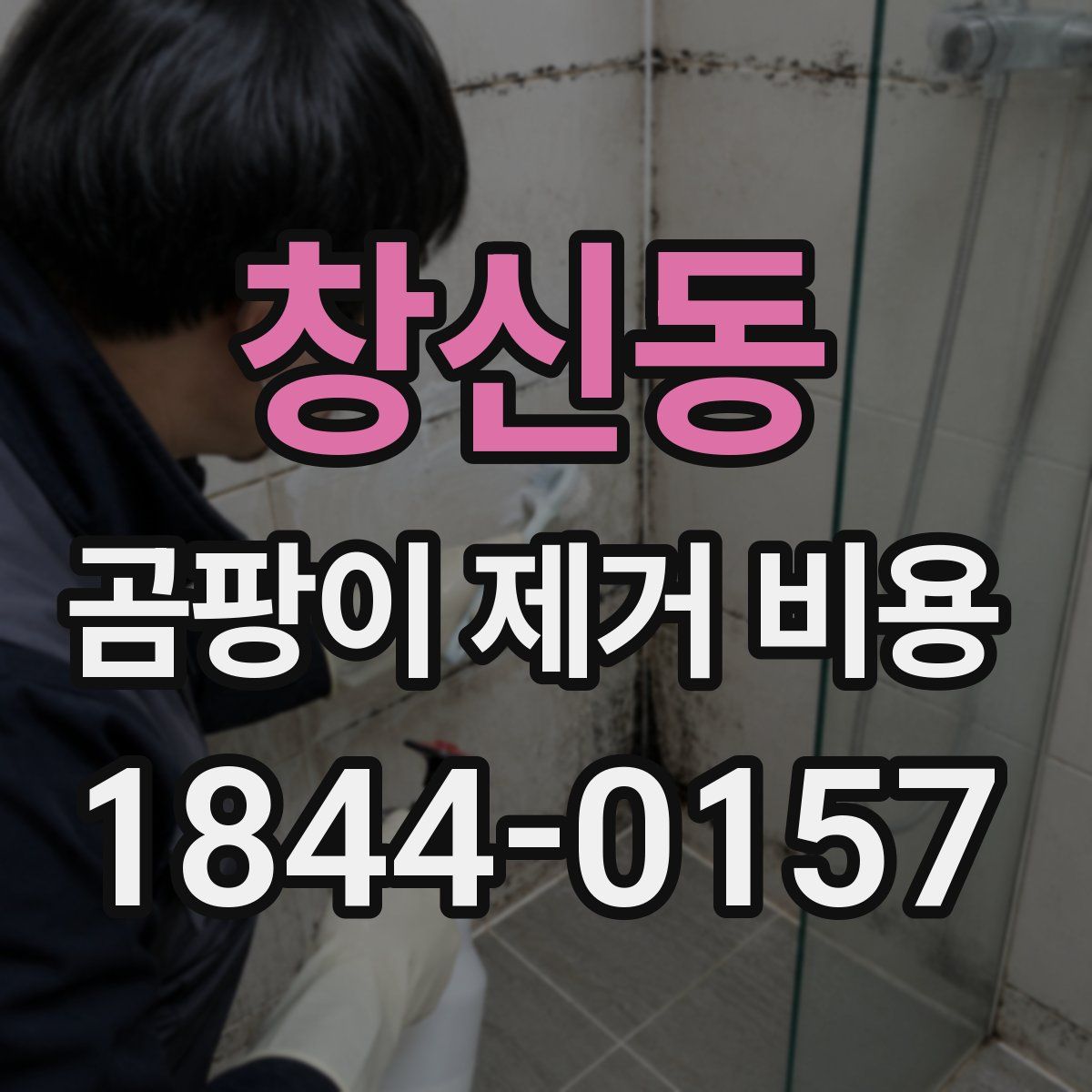 창신동 곰팡이 제거 비용