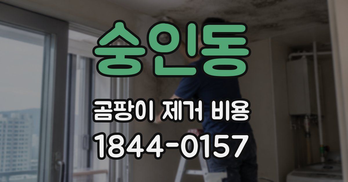 숭인동 곰팡이 제거 비용