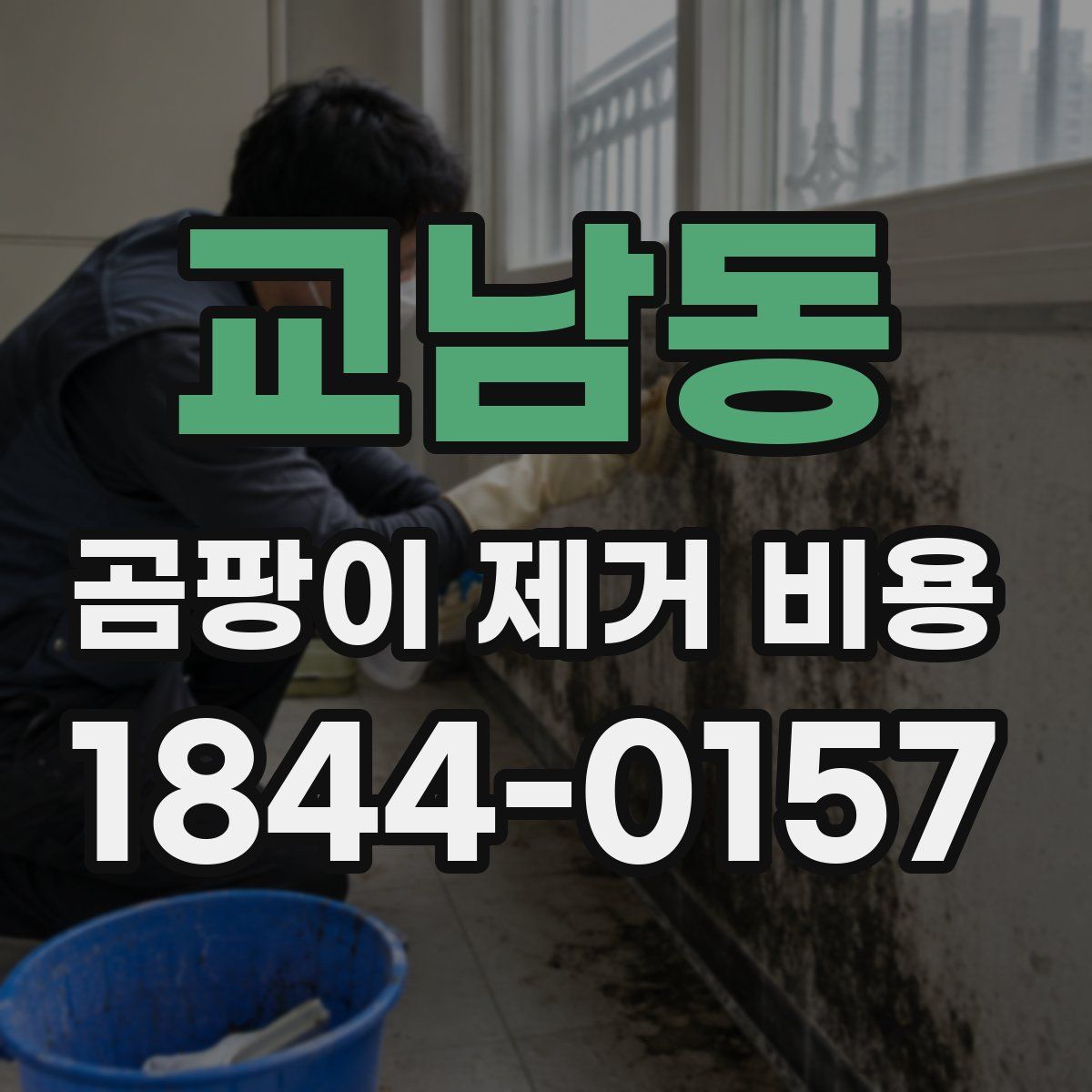 교남동 곰팡이 제거 비용