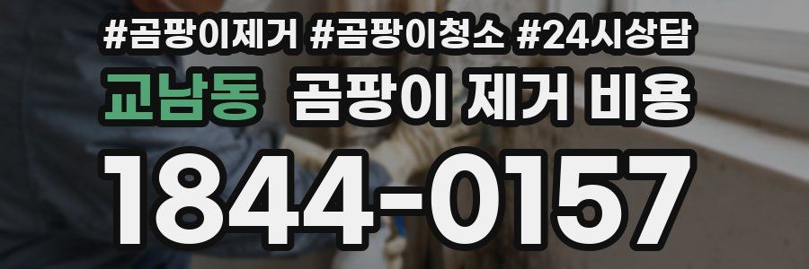 교남동 곰팡이 제거 비용