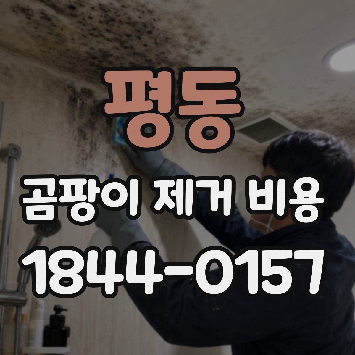 평동 곰팡이 제거 비용 벽면과 천장 작업비가 다른 이유