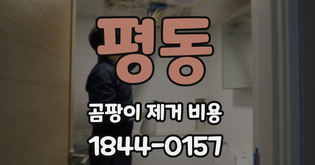 평동 곰팡이 제거 비용