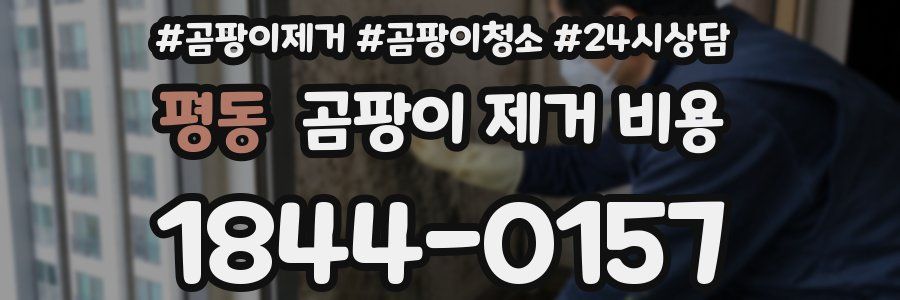 평동 곰팡이 제거 비용