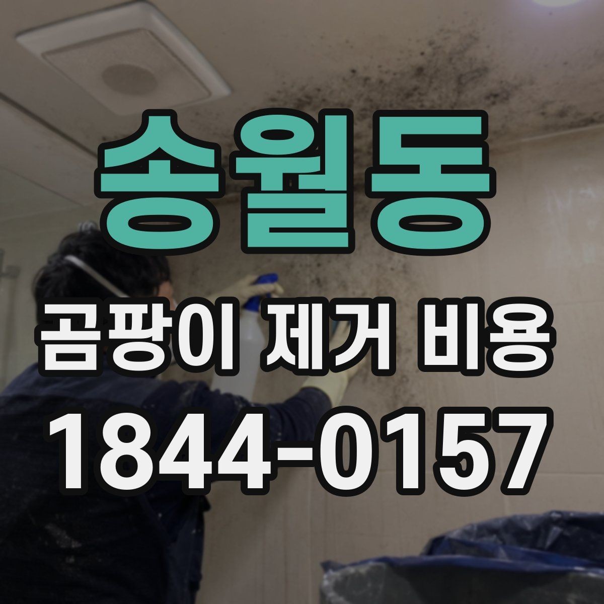 송월동 곰팡이 제거 비용 공용부 민원을 줄이는 공사 진행 방법