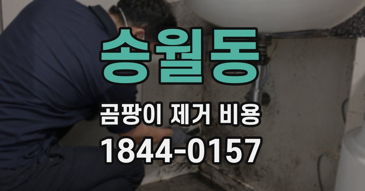 송월동 곰팡이 제거 비용