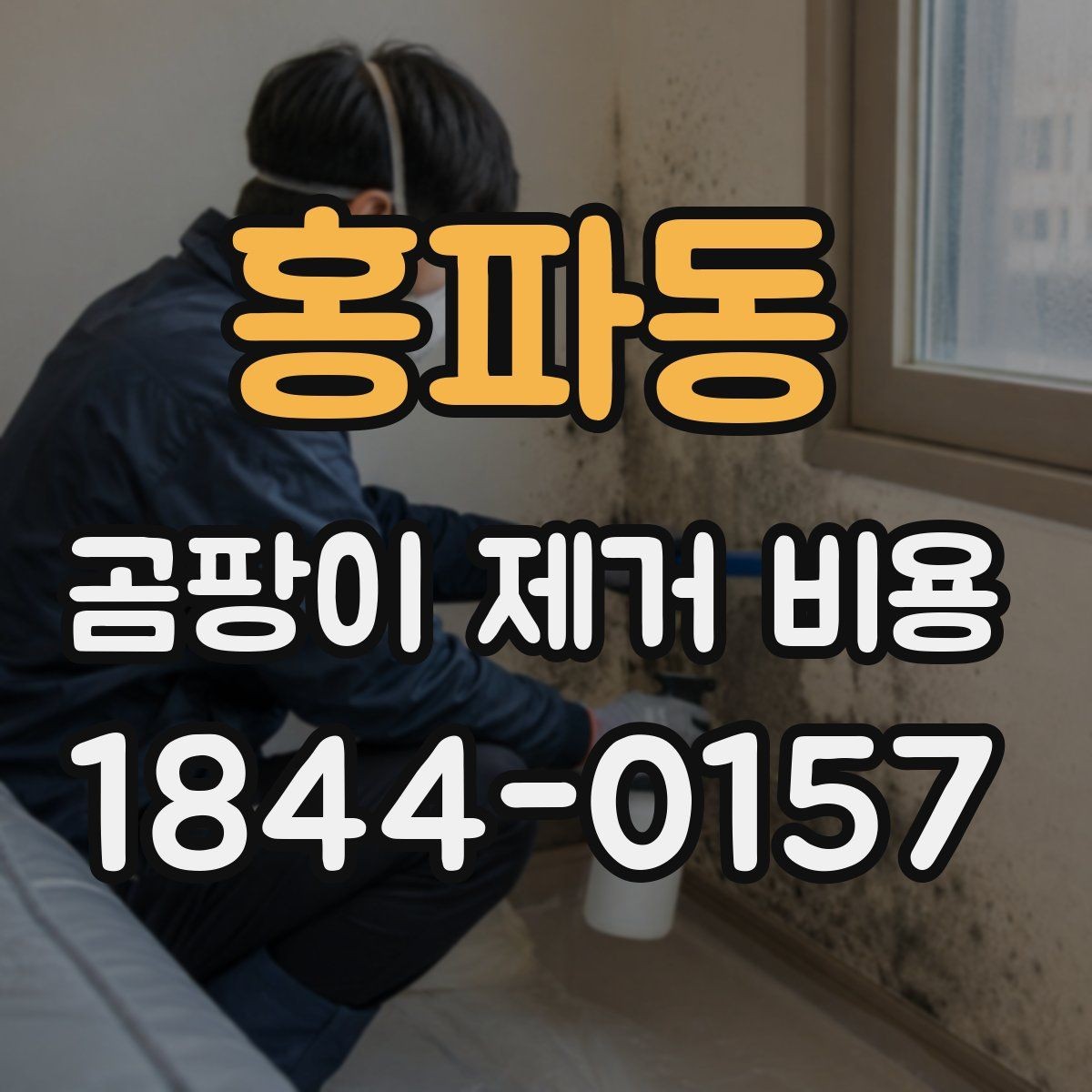 홍파동 곰팡이 제거 비용 공동주택에서 공사 일정 잡는 기준