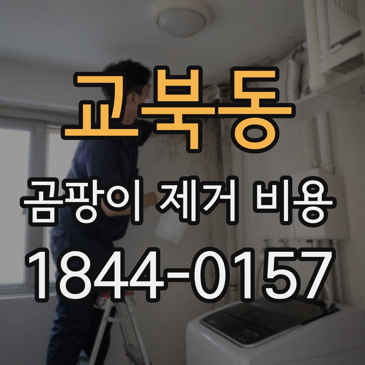 교북동 곰팡이 제거 비용