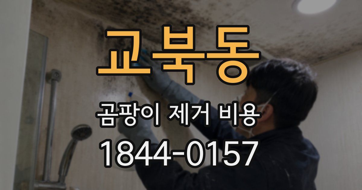 교북동 곰팡이 제거 비용