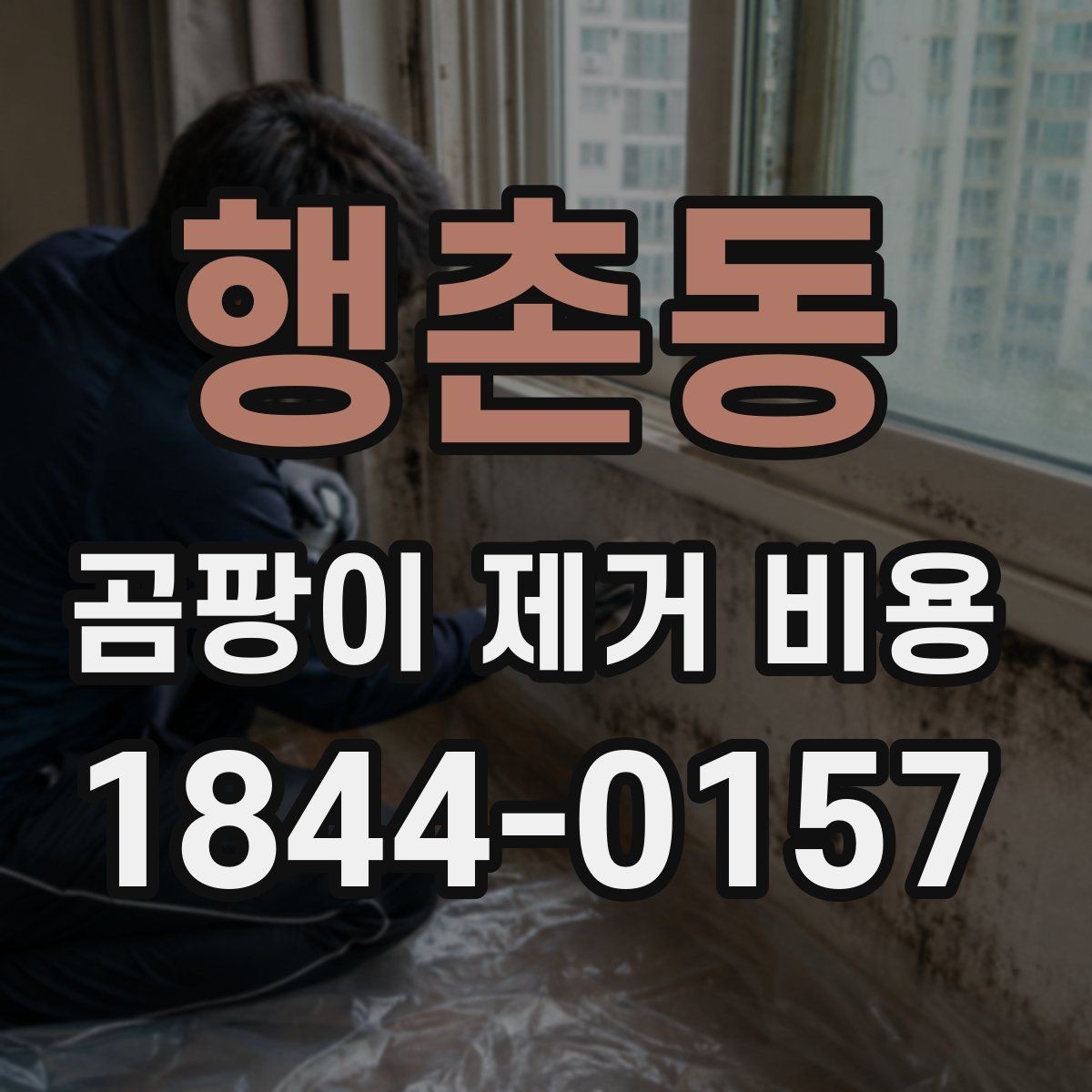 행촌동 곰팡이 제거 비용 방수 공정 포함 여부로 보는 견적 차이