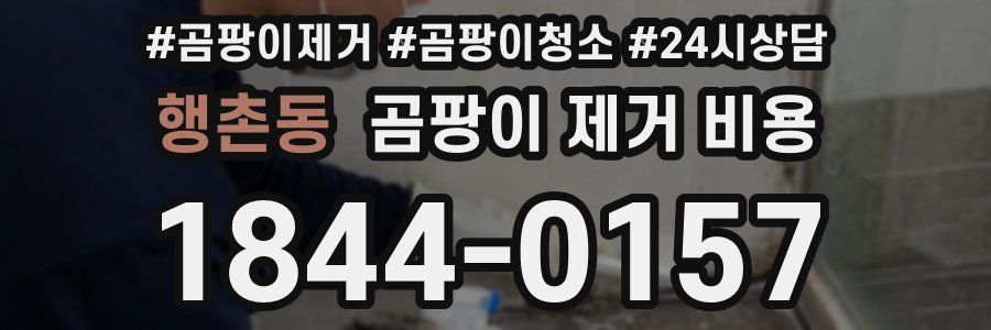 행촌동 곰팡이 제거 비용