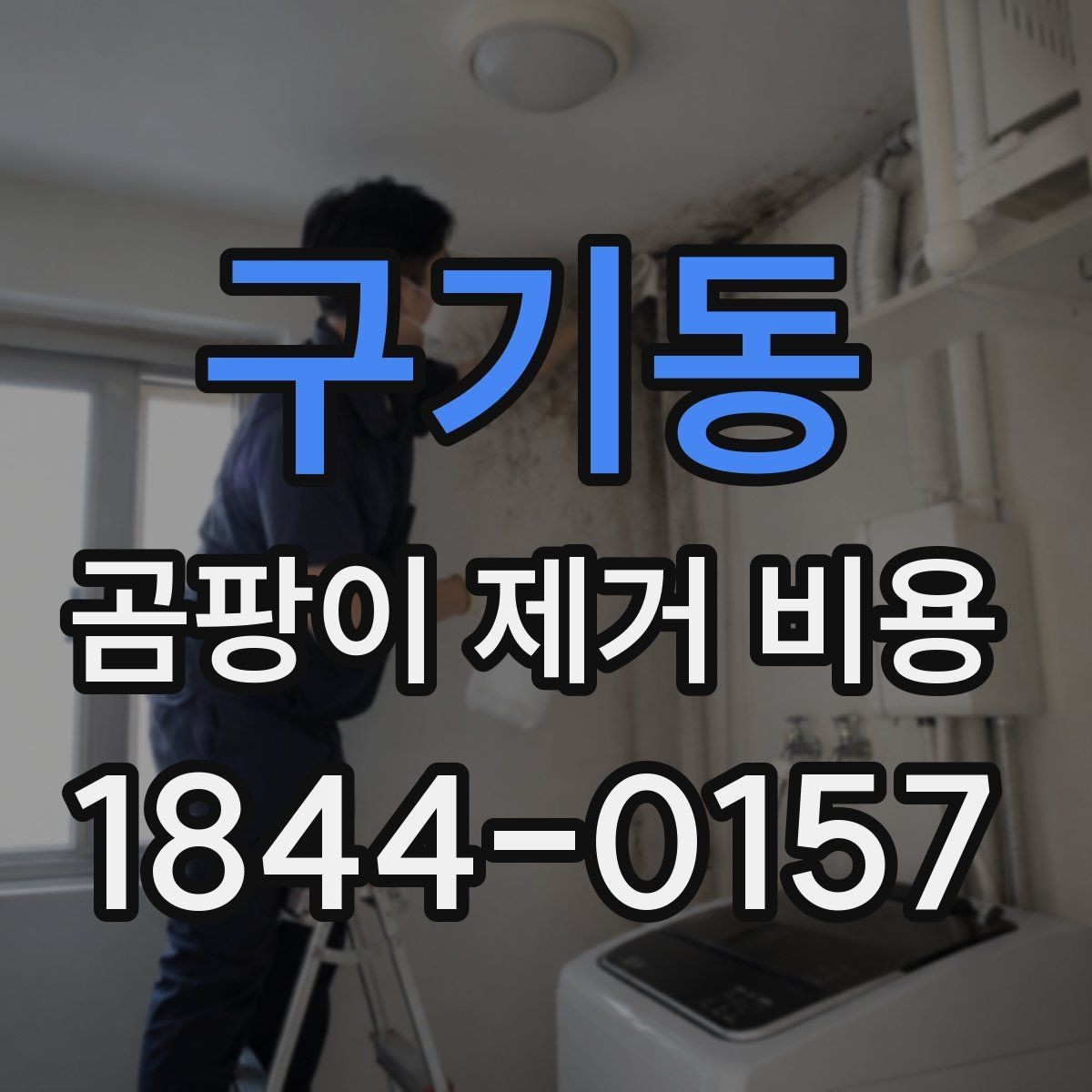 구기동 곰팡이 제거 비용 벽지 제거가 필요한 현장과 아닌 현장