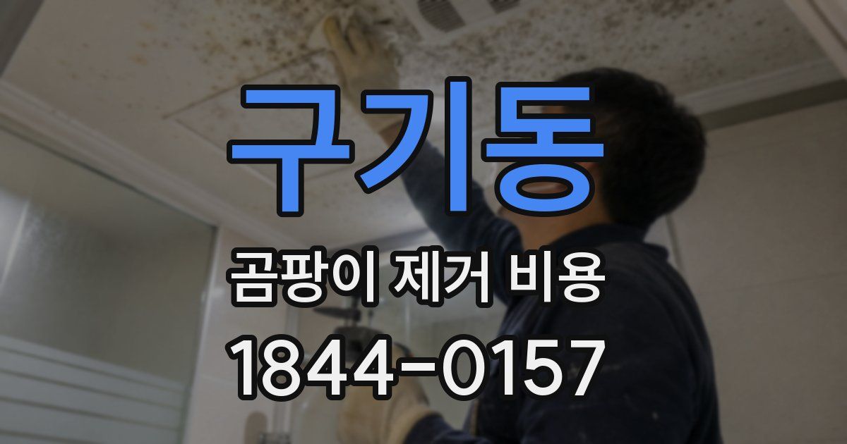 구기동 곰팡이 제거 비용