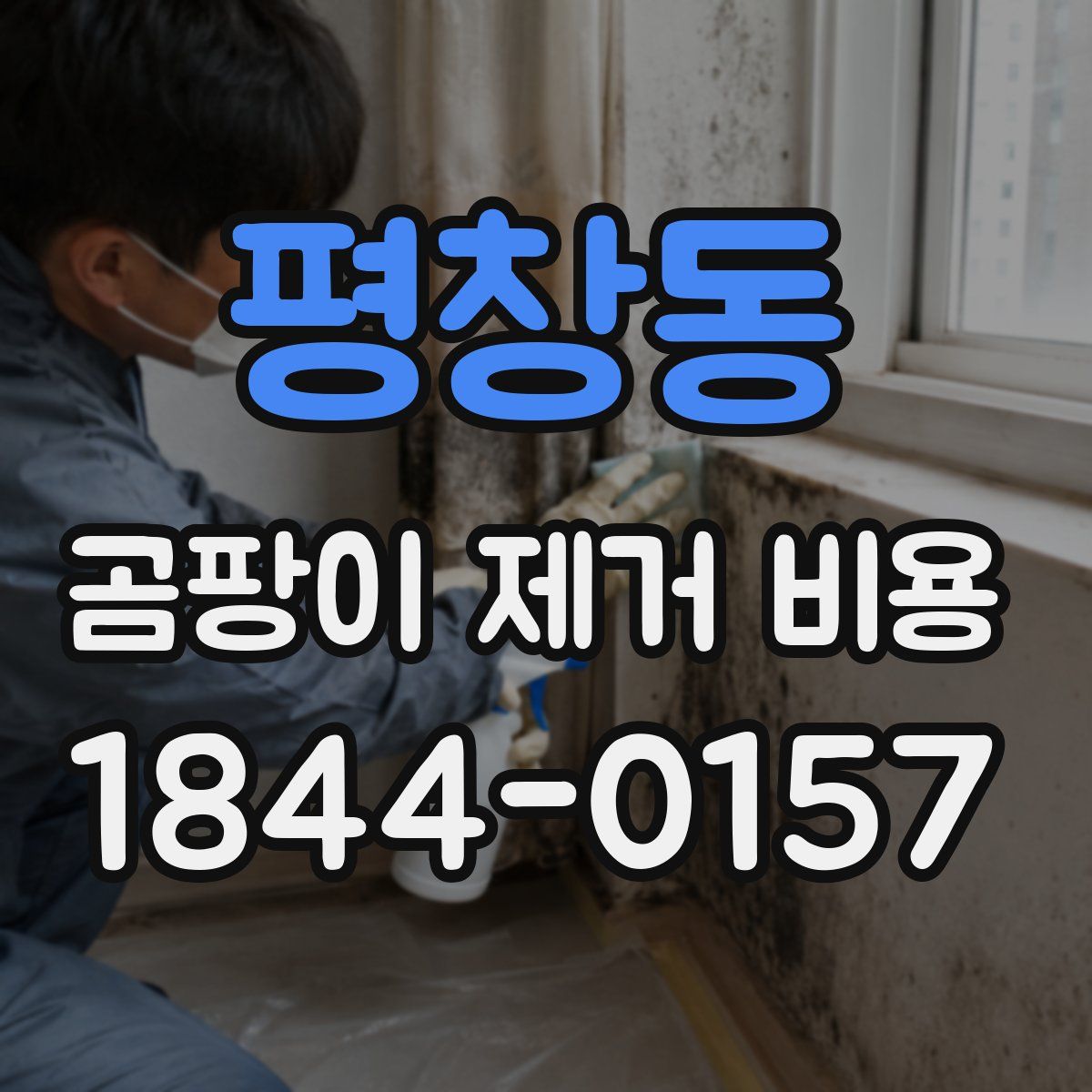 평창동 곰팡이 제거 비용