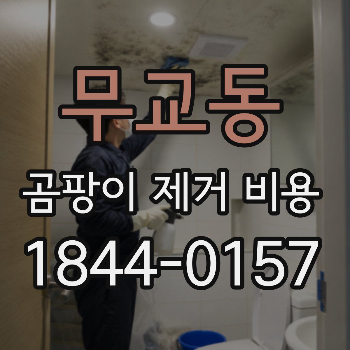 무교동 곰팡이 제거 비용