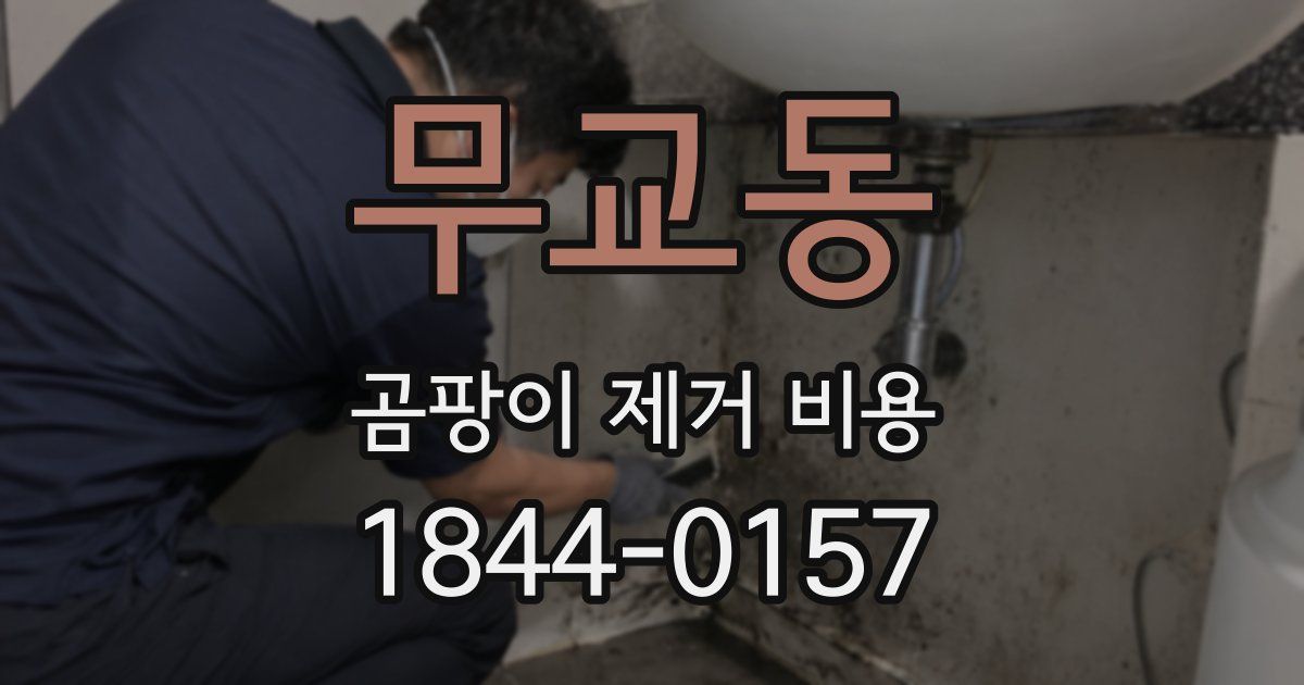 무교동 곰팡이 제거 비용