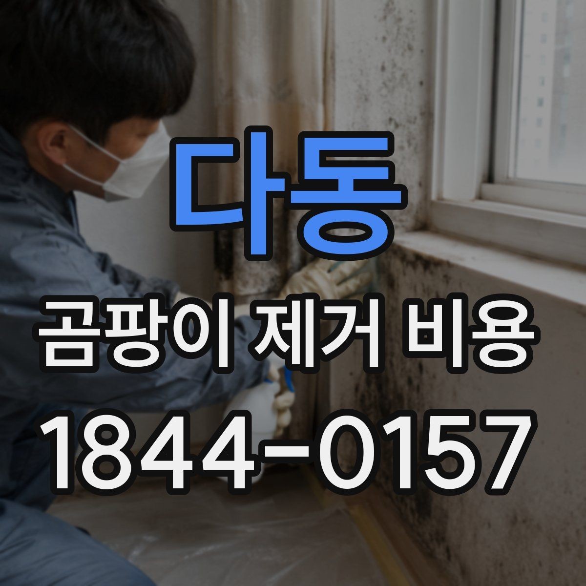 다동 곰팡이 제거 비용 곰팡이 원인 진단이 먼저인 이유