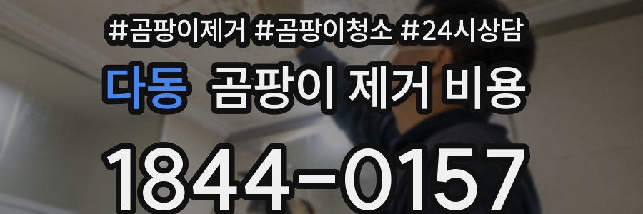 다동 곰팡이 제거 비용