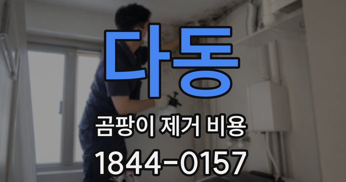 다동 곰팡이 제거 비용