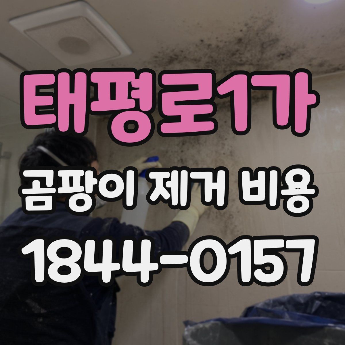 태평로1가 곰팡이 제거 비용 배관 주변 처리 범위가 넓어지는 경우